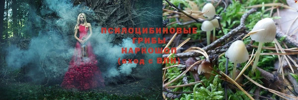 прущая мука Михайлов